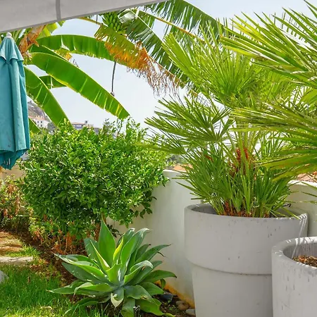 Casinha Atlantica - Sea View Garden By Lovelystay *